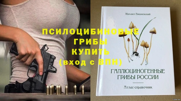 Альфа ПВП Осташков